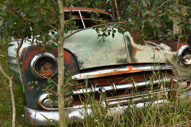 istock Old Abandoned Vehicle Wreckage 1023867718
