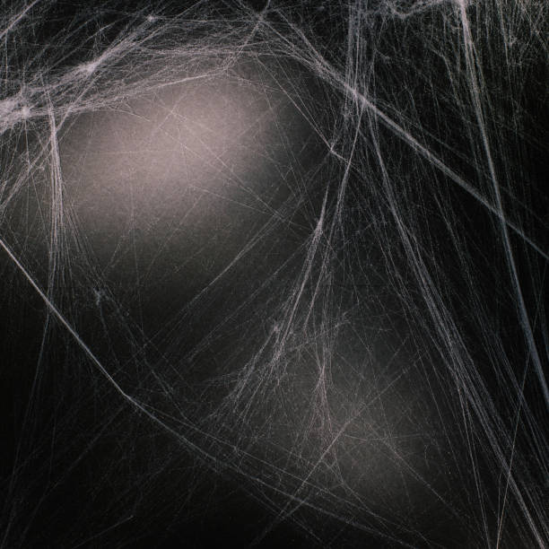 istock halloween background full of cobwebs 1023872844