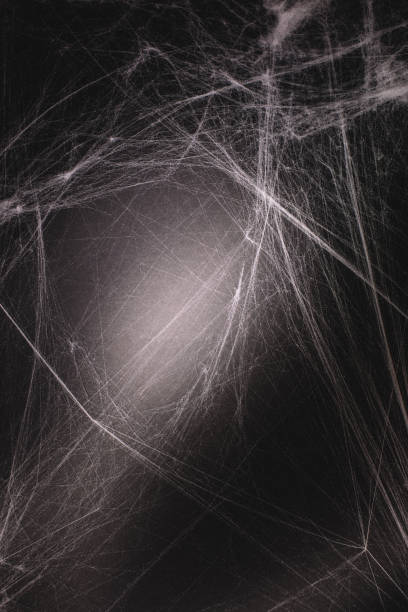 istock background full of cobwebs 1023872852