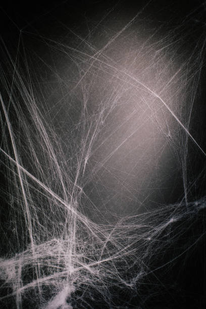 istock halloween background full of cobwebs 1023872880