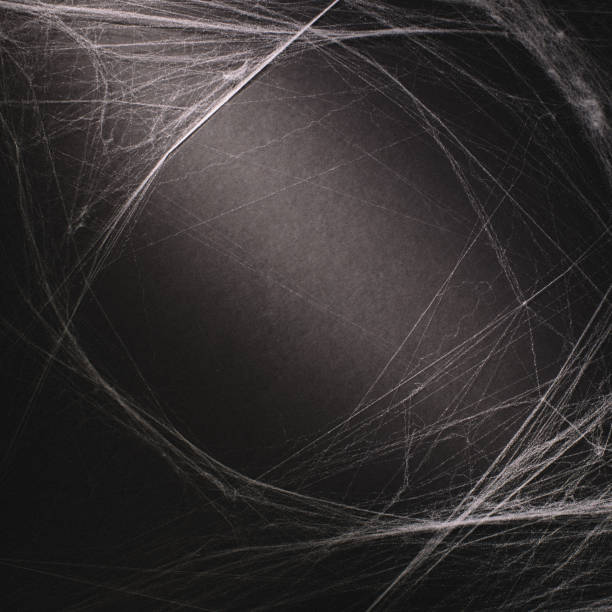 istock background full of cobwebs 1023872944
