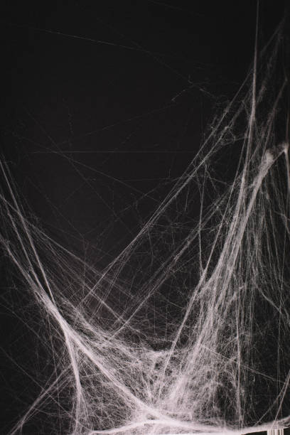 istock background full of cobwebs 1023872988