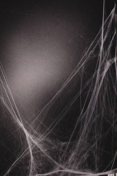 istock background full of cobwebs 1023873002