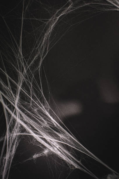 istock background full of cobwebs 1023873022