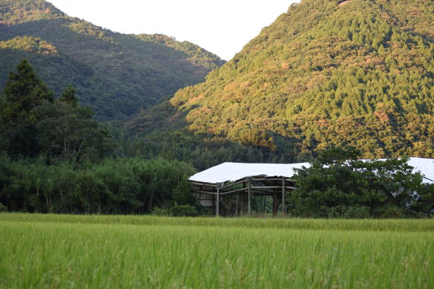 istock Countryside of Japan 1023883104