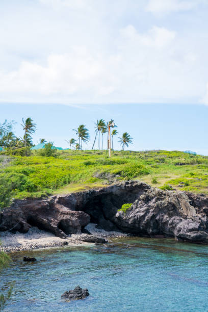 istock Kapalua Beach, Maui, Hawaii 1023885884