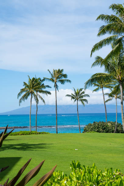 istock Kapalua Beach, Maui, Hawaii 1023885920