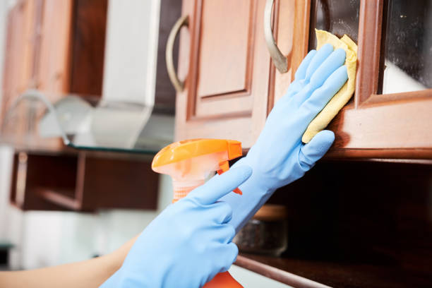 Cleaning kitchen Hands of woman spraying and wiping kitchen cabinets cleaning cupboard stock pictures, royalty-free photos & images