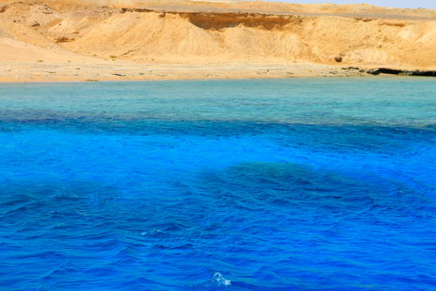 Red sea seashore on Ras Mohamed territory Egypt
