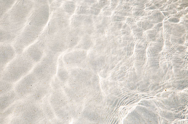 istock Water wave in swimming pool 1023895928
