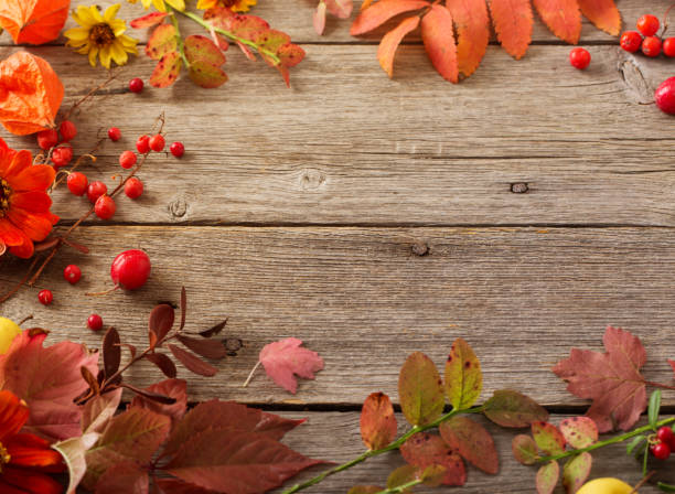istock autumn leaves on wooden background 1023898504