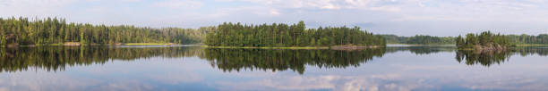 istock panorama of a forest lake 1023905006