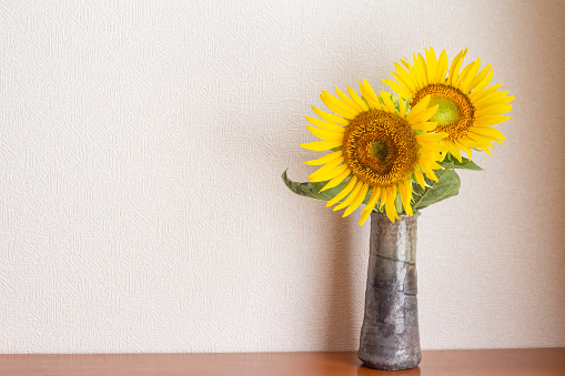 It is a yellow sunflower flower decorated in the room.