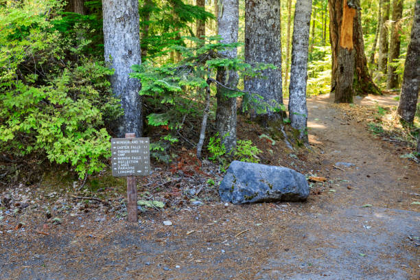 istock Wonderland Trail Sign 1023919064
