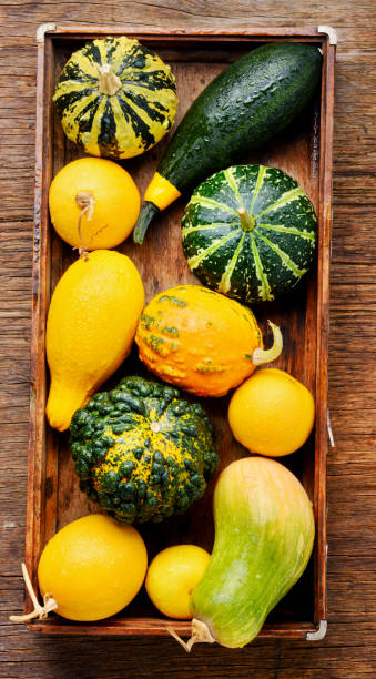 istock Colorful pumpkin collection 1023922294
