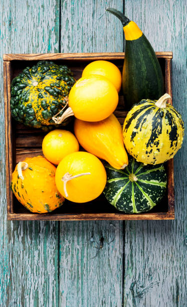 istock Autumn still life with pumpkins 1023922344