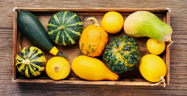 istock Autumn still life with pumpkins 1023922392
