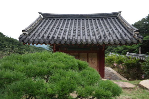 istock Gwallyongsa Buddhist Temple 1023923228