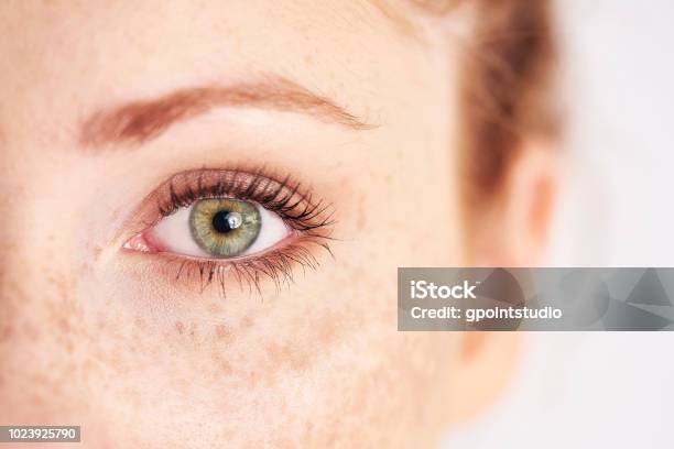 Close Up Of Humans Left Green Eye Stock Photo - Download Image Now - Eye, Eyelash, Women