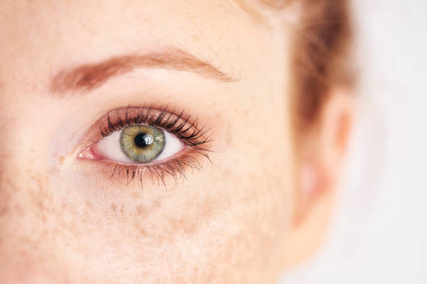 close up of human's, left, green eye - human eye eyebrow eyelash beauty imagens e fotografias de stock