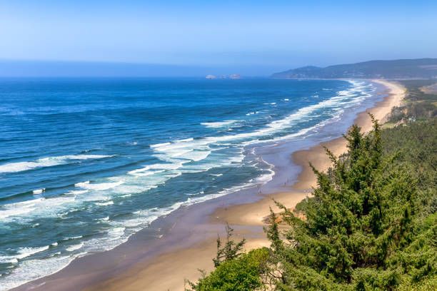 istock Ocean coast and sand beach in the Pacific 1023925806