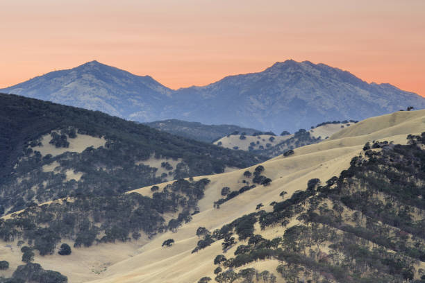 montaje diablo como se ve desde la cima del round valley regional preserve en un atardecer de verano. - mt diablo state park fotografías e imágenes de stock