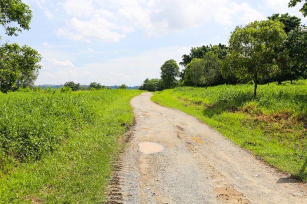 istock empty road at Pulau Ubin island 1023933456