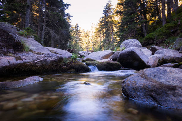 istock nature and serenity 1023934158