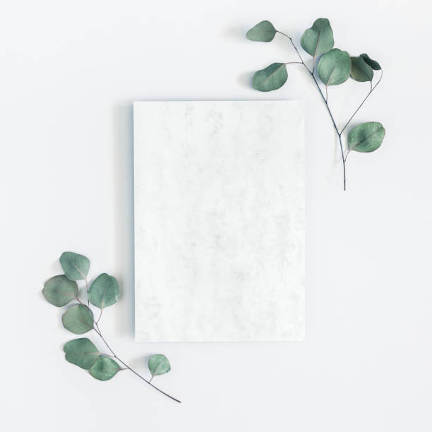 istock Marble paper blank, eucalyptus branches on pastel gray background. Flat lay, top view, copy space, square 1023934236