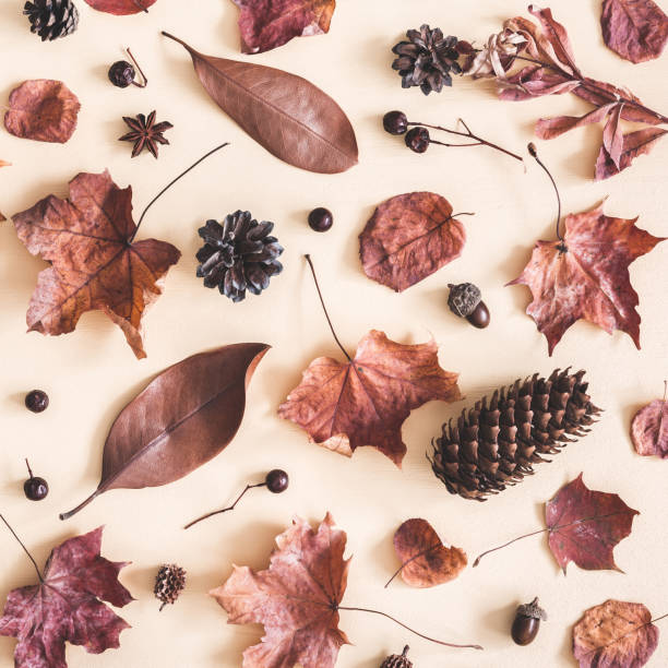 istock Autumn composition. Pattern made of dried leaves on pastel beige background. Autumn, fall concept. Flat lay, top view, square 1023938566