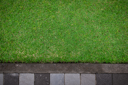 Green grass texture with the concrete walkway, Background of outdoor and park.