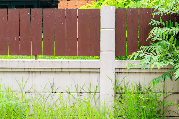 istock Grass and weed side wall at rainy season. 1023966904