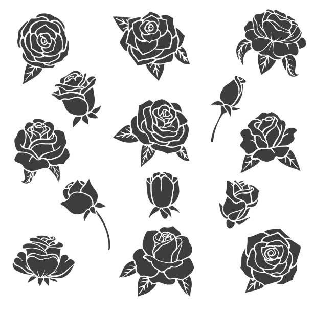 illustrazioni stock, clip art, cartoni animati e icone di tendenza di illustrazioni nere di rose. silhouette vettoriale di piante diverse - computer graphic leaf posing plant