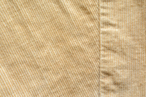 istock Beige Velvet Cloth Texture with Stitches 1023978192