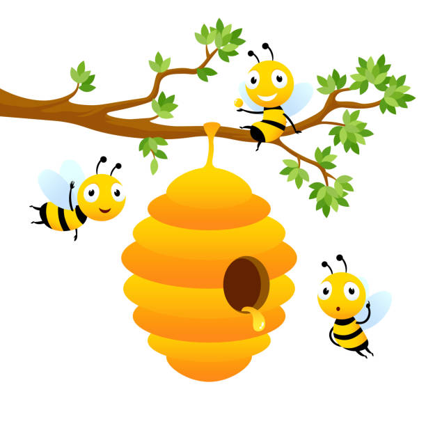 蜜蜂字元。向量卡通吉祥物設計分離 - 可愛 圖片 幅插畫檔、美工圖案、卡通及圖標