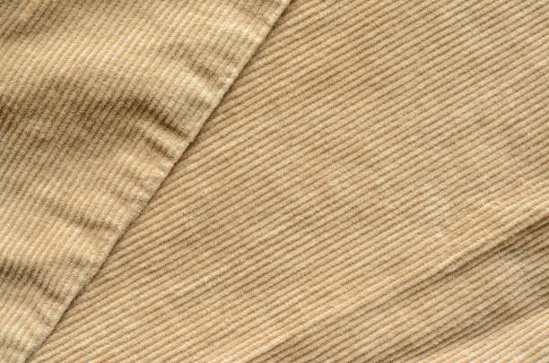 istock Beige Velvet Cloth Texture with Stitches 1023980446