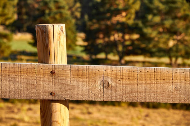 istock Wood fence on a countryside background 1023997526
