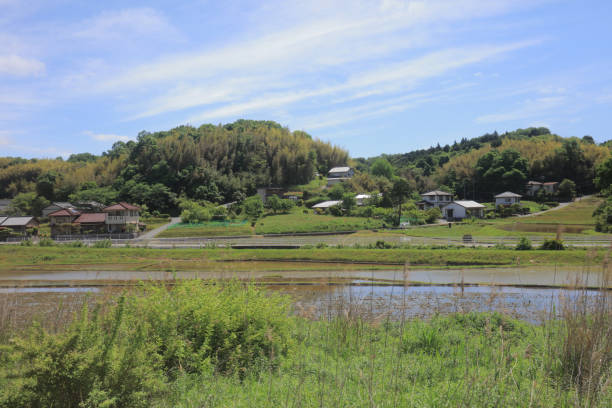 istock a View through tram window of the country side 1024000588