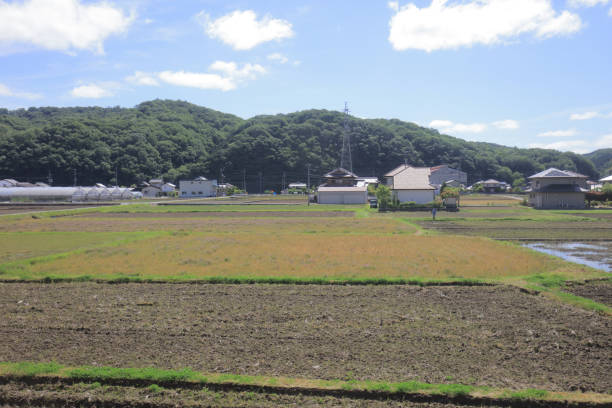 istock a View through tram window of the country side 1024003516