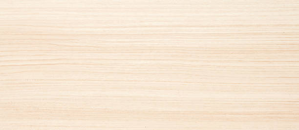 istock Texture of wood background 1024004320
