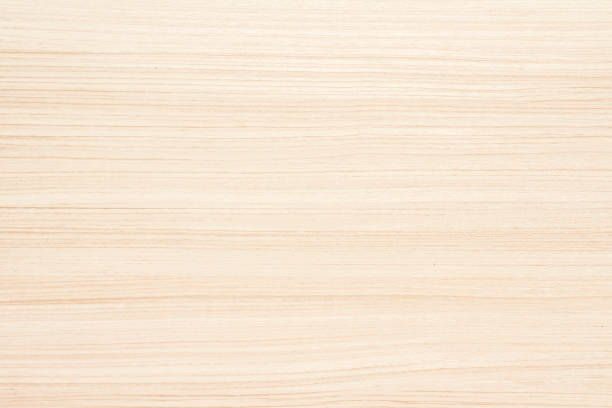 istock Texture of wood background 1024004466