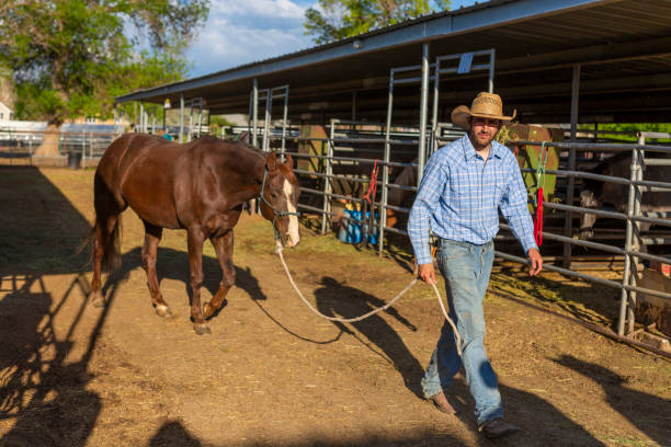 Cowboy Leading a Horse on a Ranch
