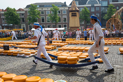 Alkmaar, Netherlands - June 01, 2018: Traditional cheese carriers carry cheeses on a wooden stretcher  in front of the Waag building during the cheese market