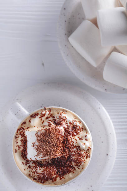 istock Hot chocolate and marshmallow sprinkled with chocolate chips. 1024029864