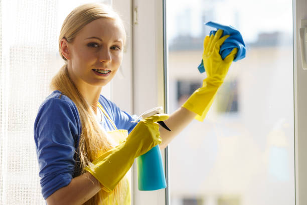 istock Woman cleaning window at home 1024039412