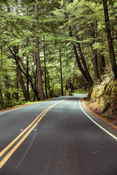 istock driving in the fog 1024040226
