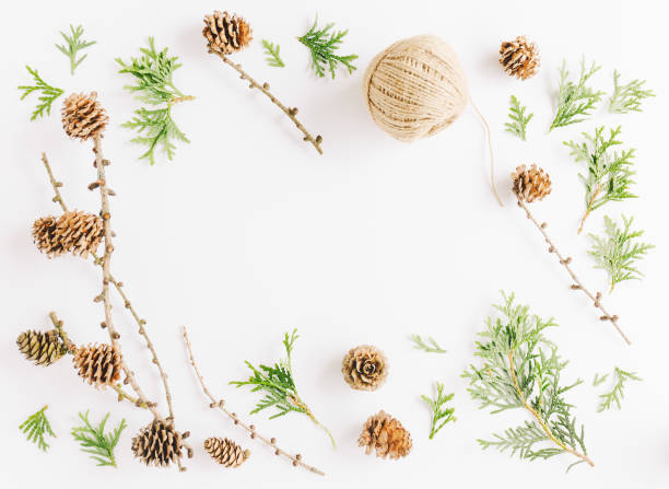 istock Christmas flat lay with fir cones 1024042532