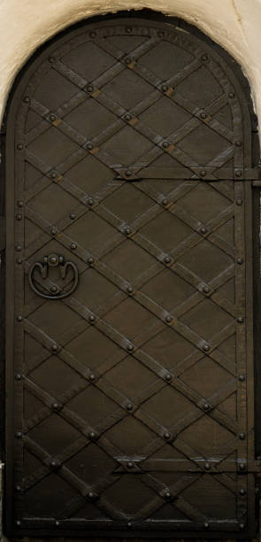 istock Texture metal door. Background 1024052614