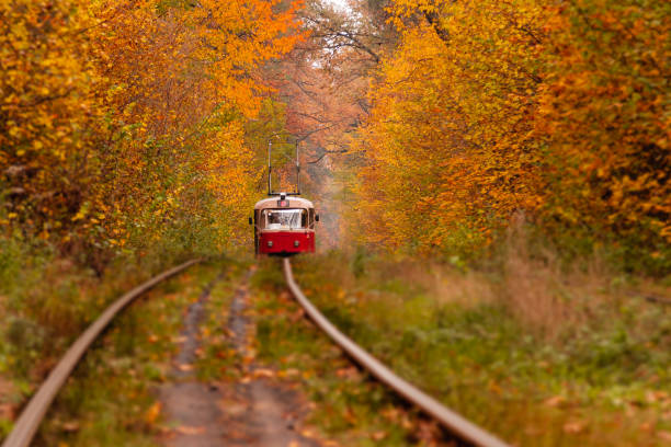 istock autumn forest among which goes a strange tram 1024055518
