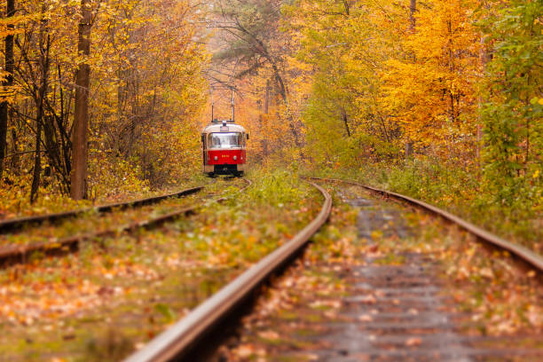 istock autumn forest among which goes a strange tram 1024055626